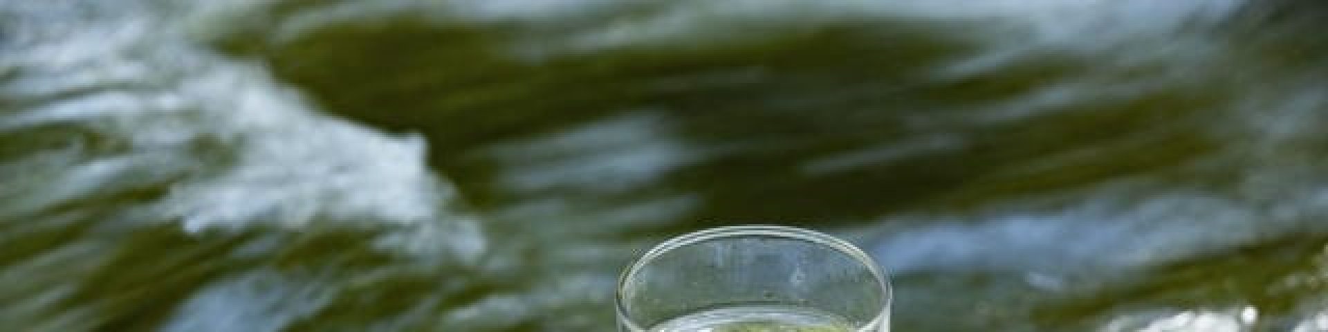 ガラス容器の魅力を引き出す！暮らしに彩りを添えるアイデア集